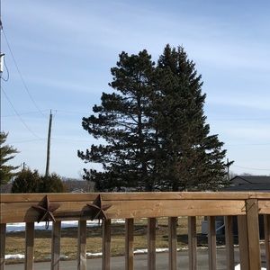 Meet your Posher, Brenda